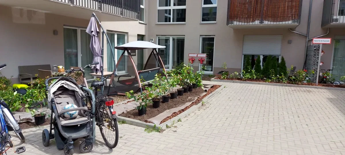 Neu bepflanzte Beete und Wege in einer Wohnanlage